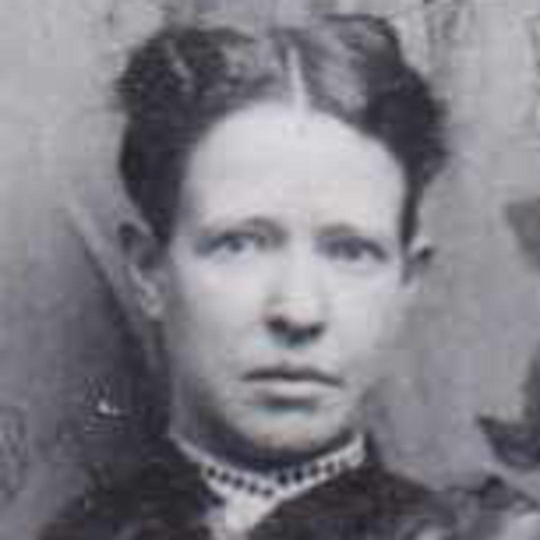 Sarah Jane Jenkins (1854 - 1890) Profile